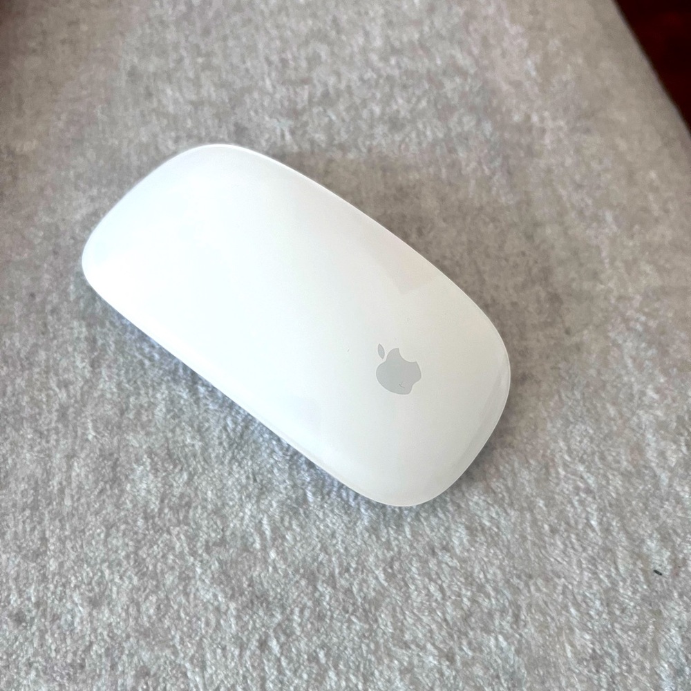 Apple Magic Mouse. Never been used. Charger not included